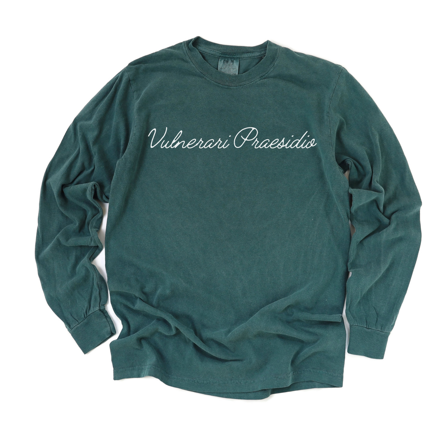 Protect the Most Vulnerable Long Sleeve Tee